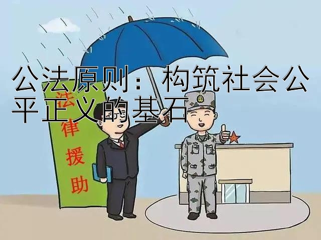 公法原则：构筑社会公平正义的基石