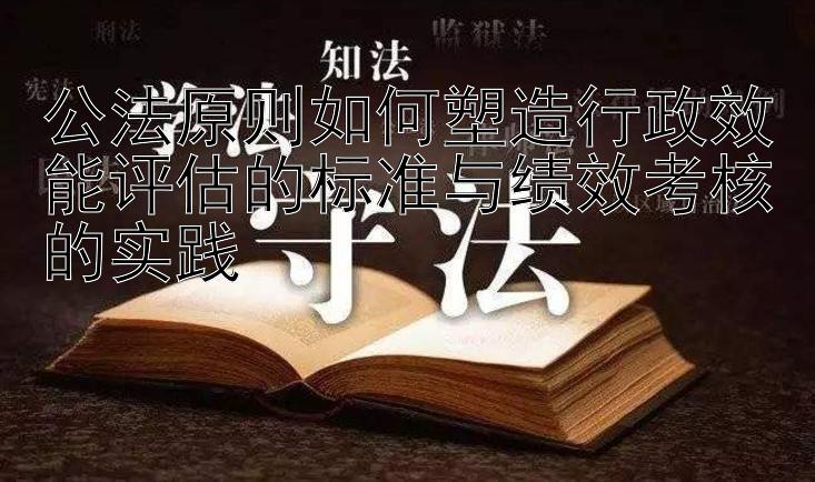 公法原则如何塑造行政效能评估的标准与绩效考核的实践