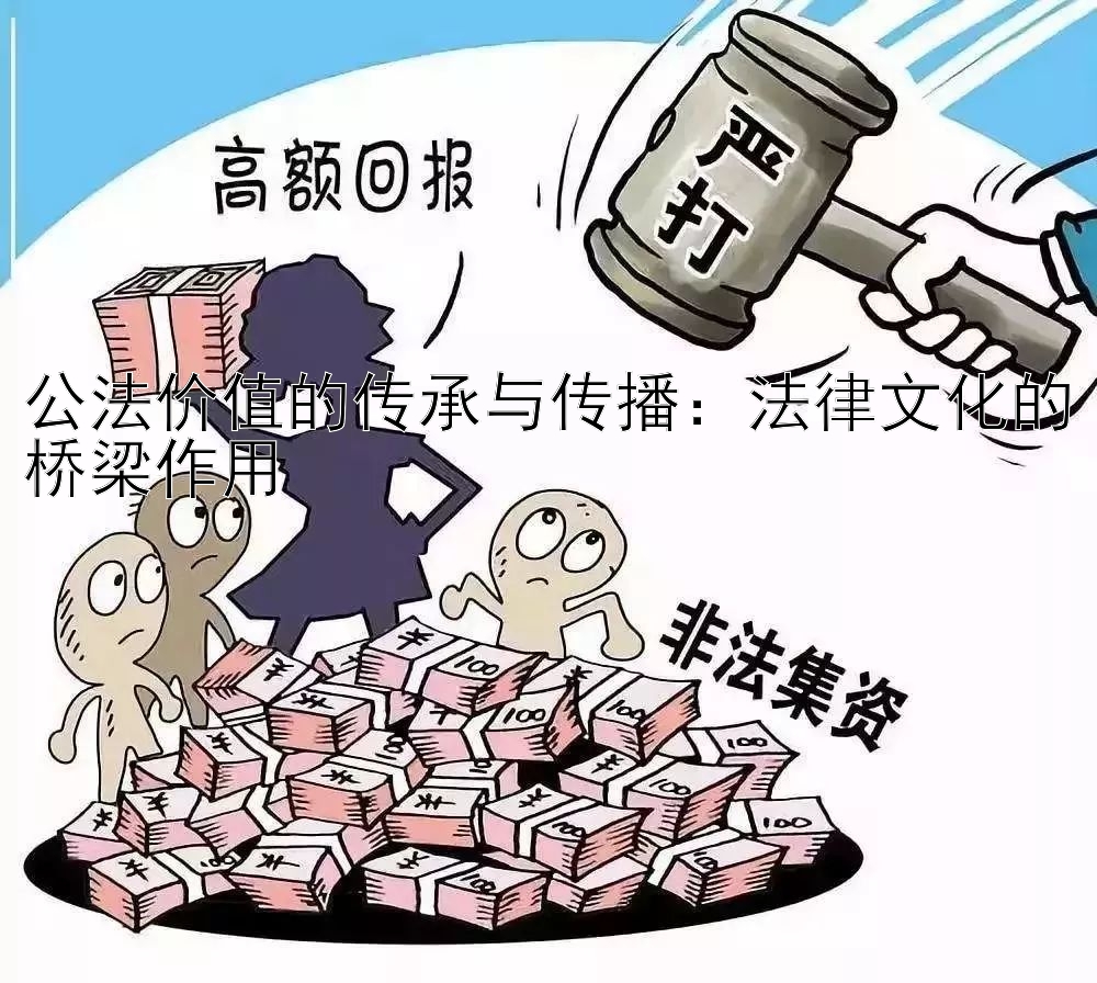 公法价值的传承与传播：法律文化的桥梁作用