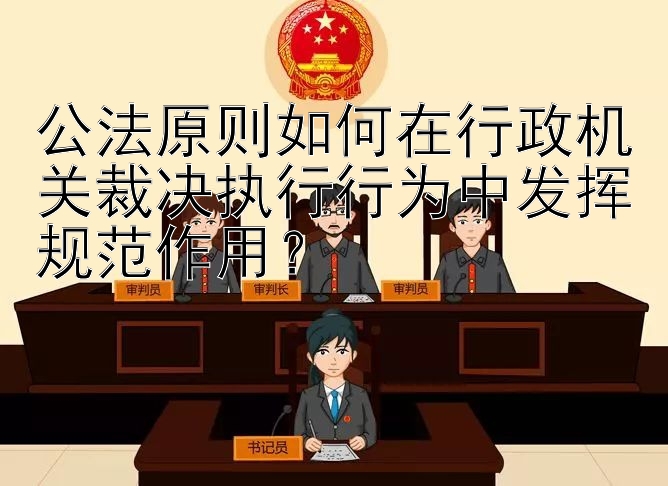 公法原则如何在行政机关裁决执行行为中发挥规范作用？