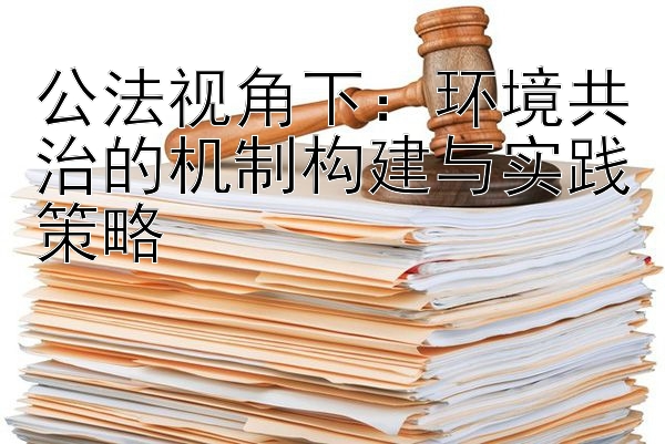 公法视角下：环境共治的机制构建与实践策略