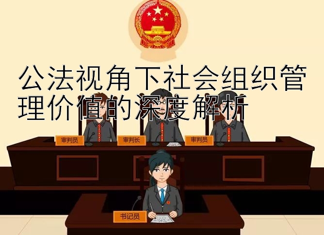 公法视角下社会组织管理价值的深度解析