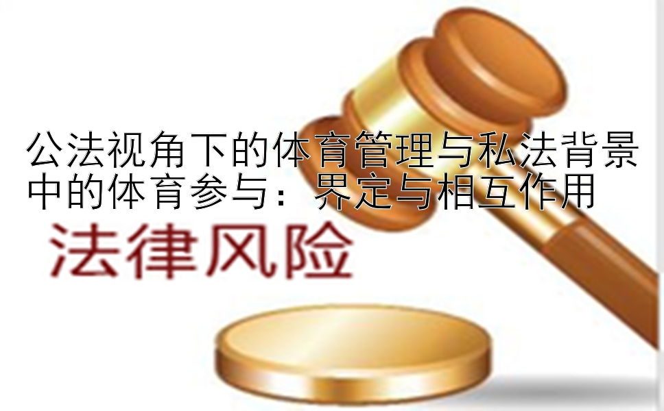 公法视角下的体育管理与私法背景中的体育参与：界定与相互作用