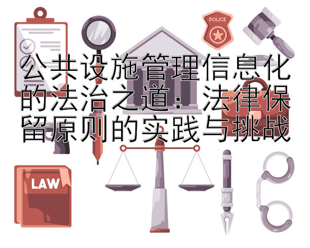 公共设施管理信息化的法治之道：法律保留原则的实践与挑战