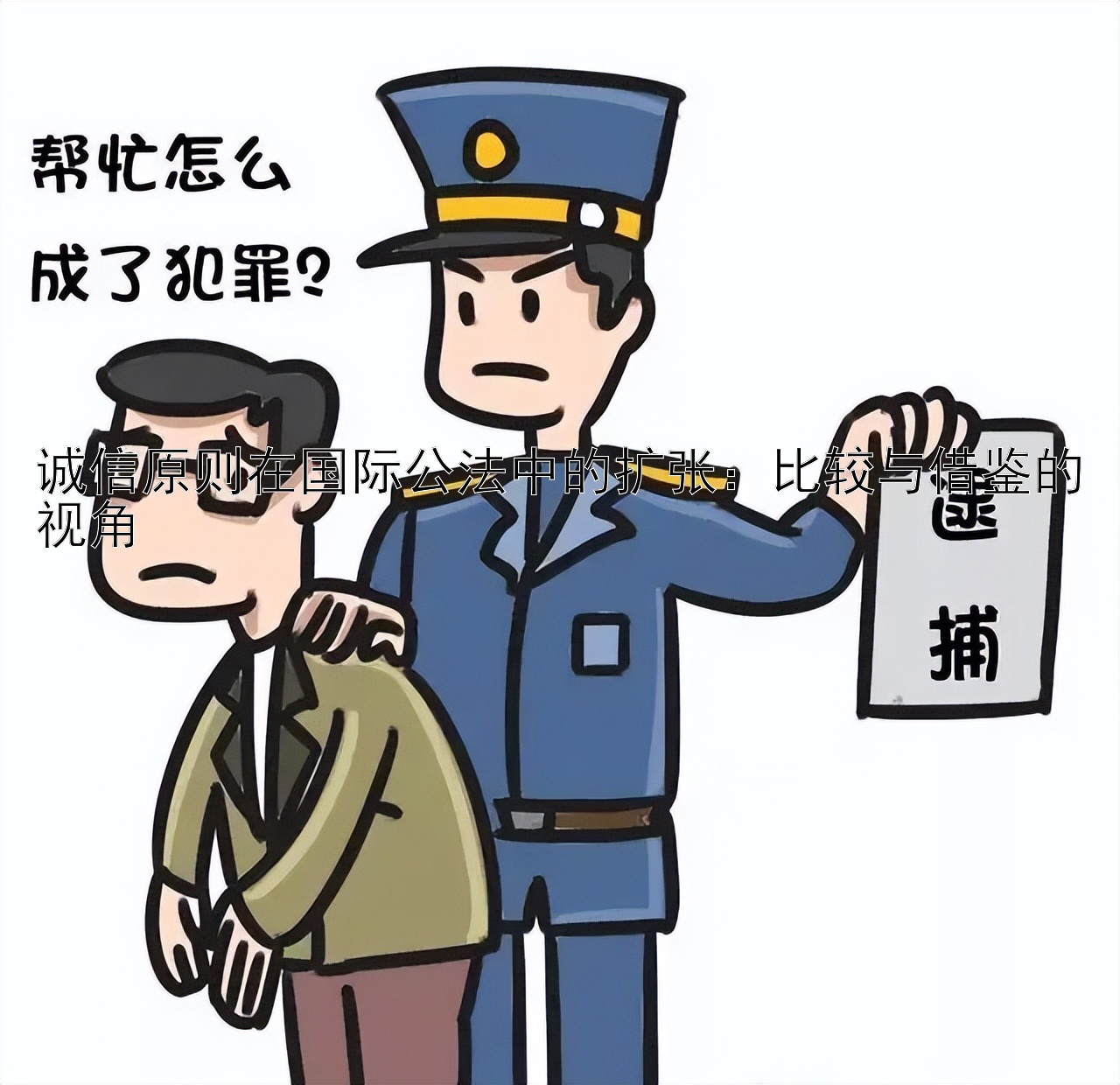 诚信原则在国际公法中的扩张：比较与借鉴的视角